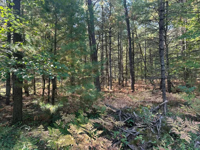 $35,000 | Par D West 16th Street, Baldwin, MI 49304