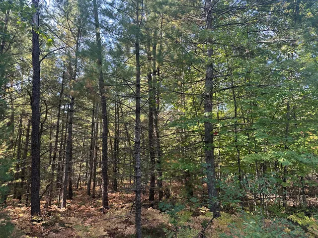 $35,000 | Par D West 16th Street, Baldwin, MI 49304