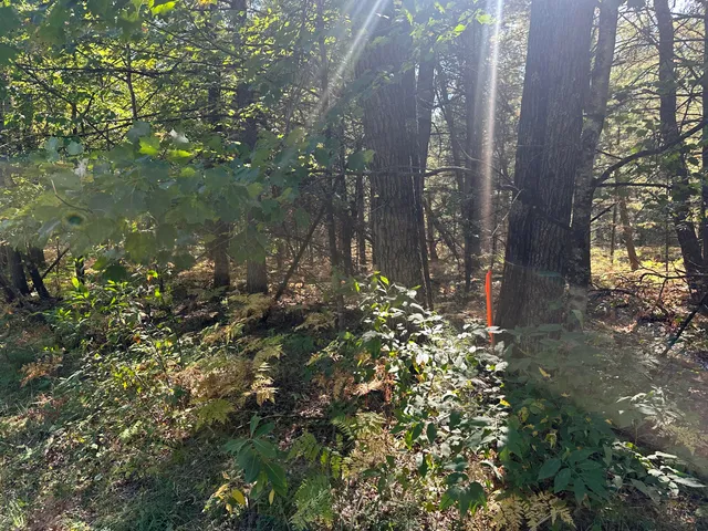 $35,000 | Par D West 16th Street, Baldwin, MI 49304