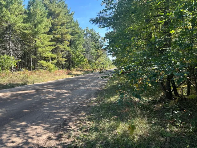 $35,000 | Par D West 16th Street, Baldwin, MI 49304