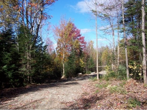 32.05 Slide Brook Road Easton, NH 03580 - Photo 1 of 1 Gallery Image 1