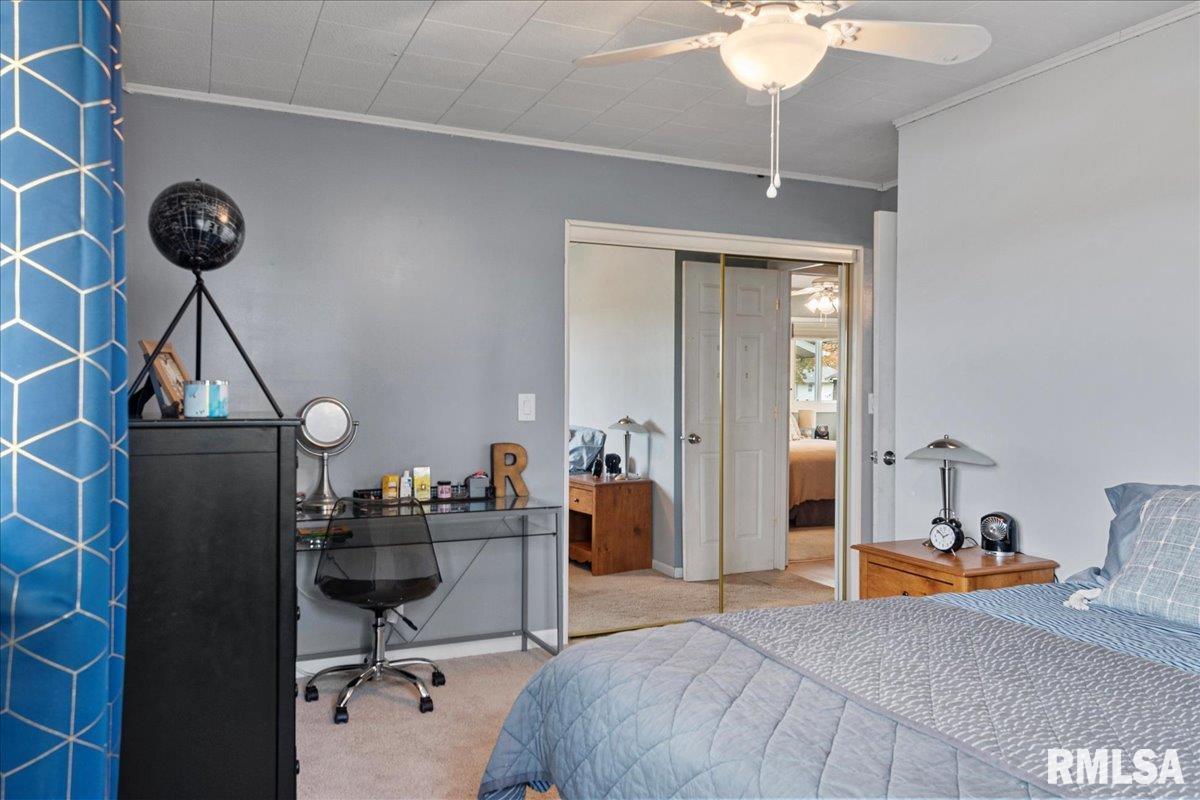 619 East Main Street Rochester, IL 62563 - Photo 23 of 54