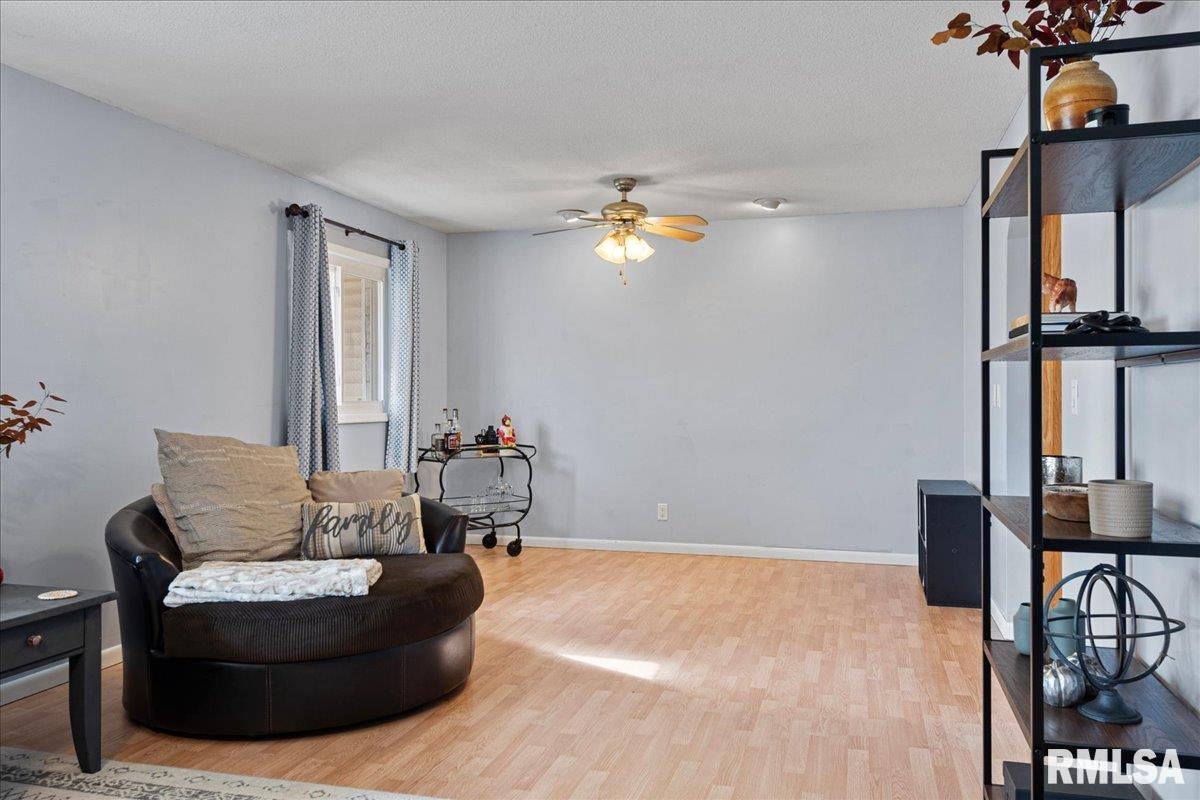 619 East Main Street Rochester, IL 62563 - Photo 5 of 54