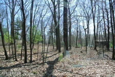 Pitch Pine Road Dingmans Ferry, PA 18328 - Photo 3 of 4