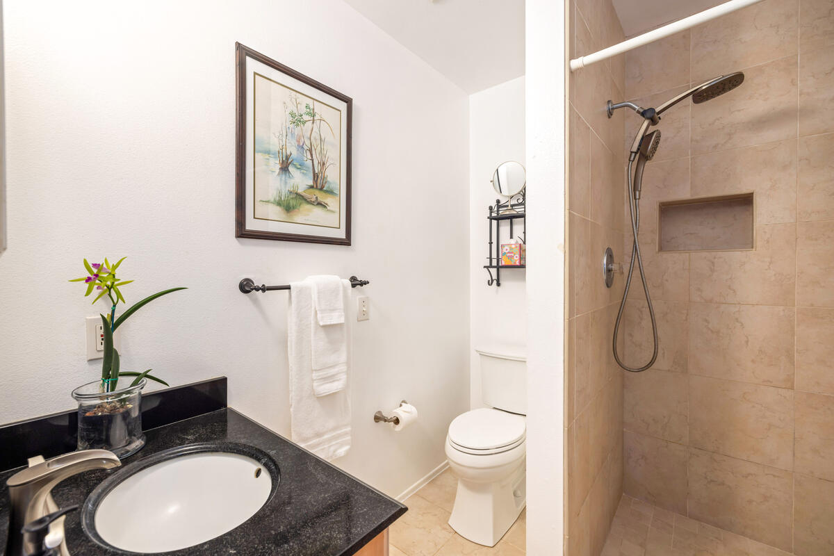 3307 D Hailima Road Koloa, HI 96756 - Photo 20 of 30 a bathroom with a granite countertop toilet sink and shower