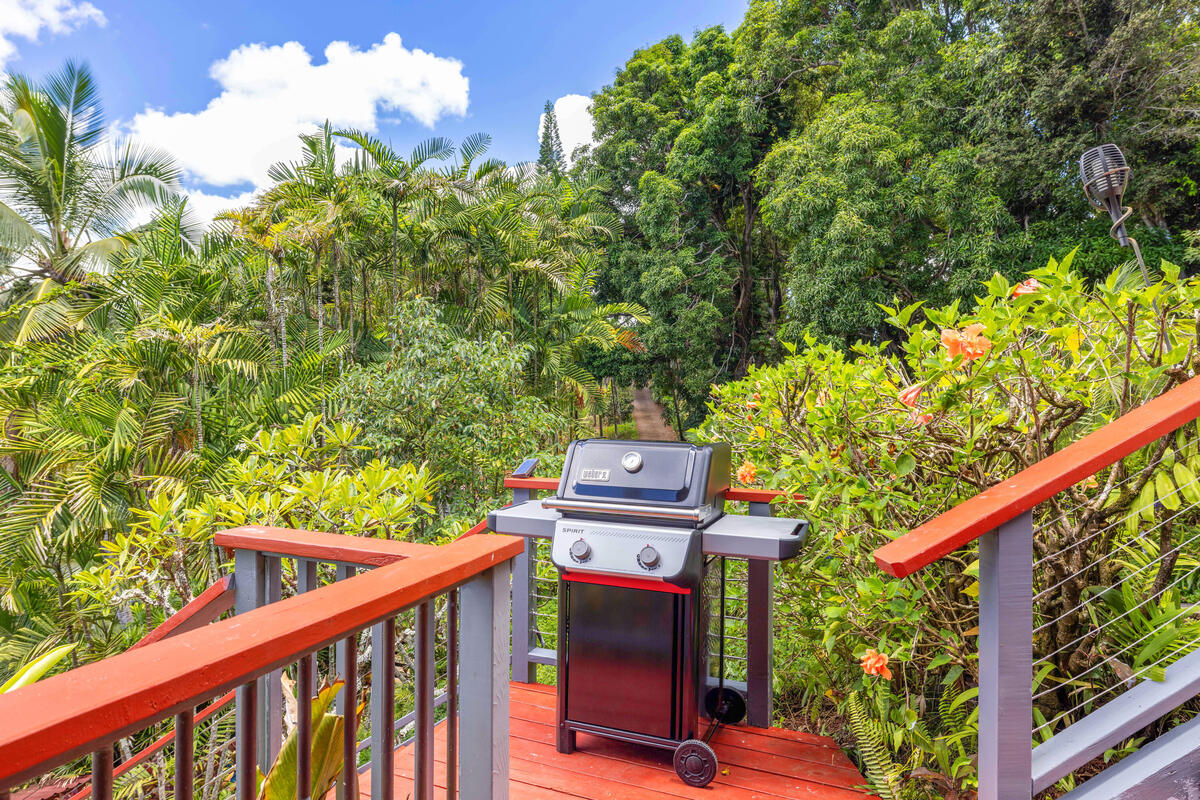 3307 D Hailima Road Koloa, HI 96756 - Photo 29 of 30 a view of a balcony with plants