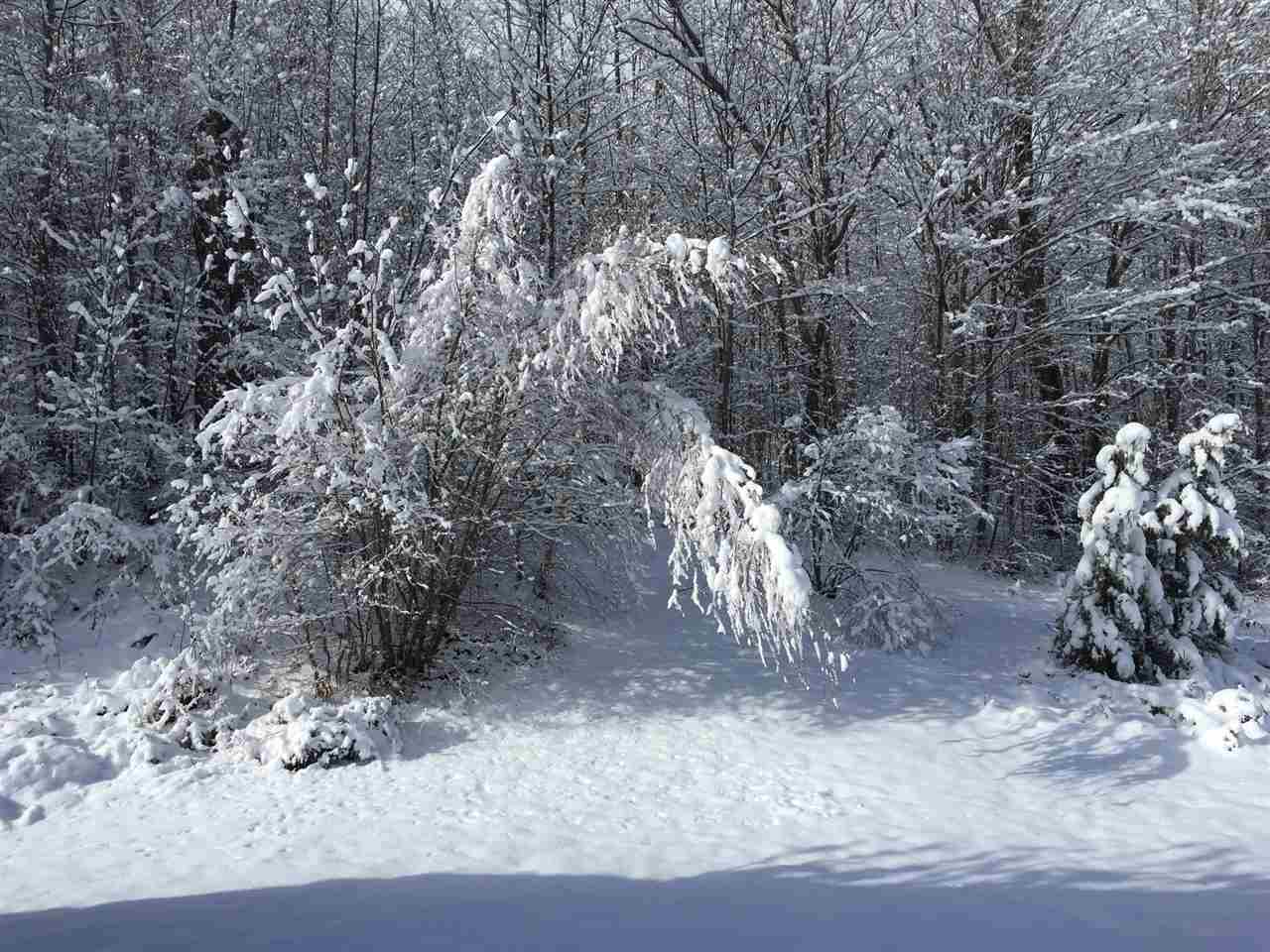 298 Brook Road Strafford, VT 05072 - Photo 19 of 22