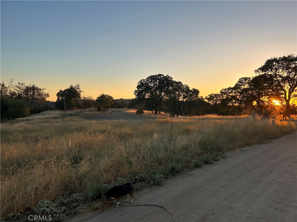 0 Hogans Mountain Road Coarsegold, CA 93614 - Photo 11 of 11 a view of a lake with a yard and wooden fence