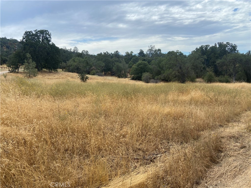 0 Hogans Mountain Road Coarsegold, CA 93614 - Photo 2 of 11 a view of lake view and mountain