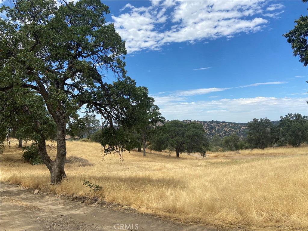 0 Hogans Mountain Road Coarsegold, CA 93614 - Photo 3 of 11 a view of a yard with a tree