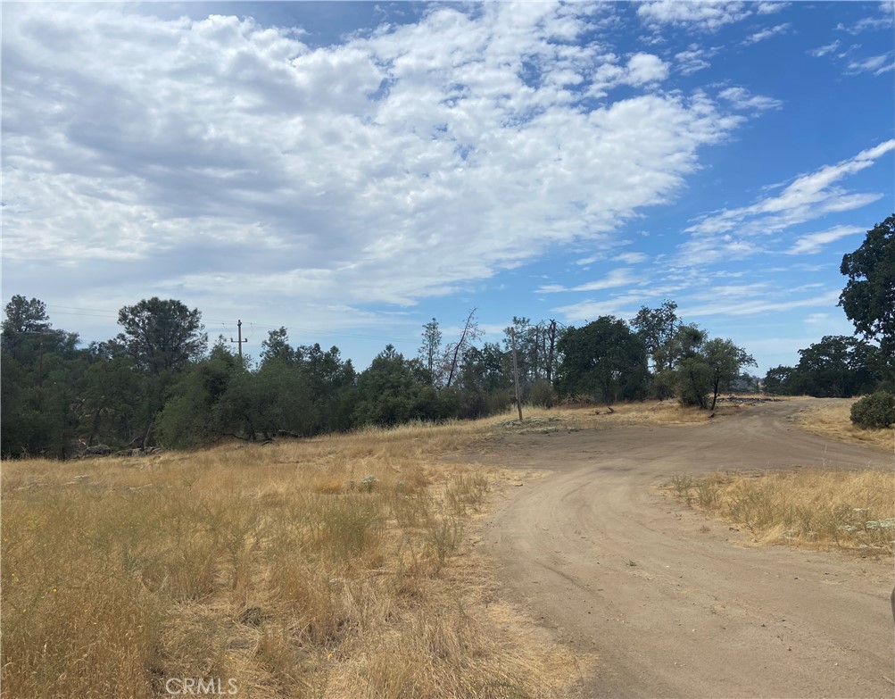 0 Hogans Mountain Road Coarsegold, CA 93614 - Photo 5 of 11 a view of a field with trees in the background