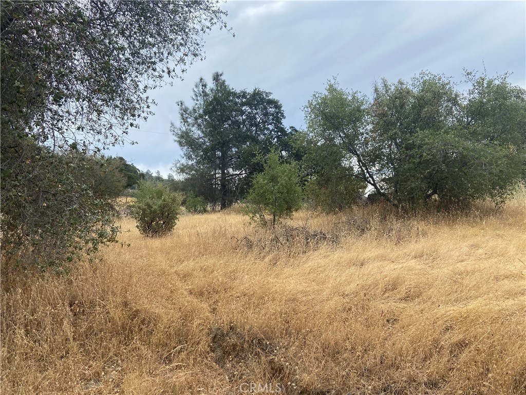 0 Hogans Mountain Road Coarsegold, CA 93614 - Photo 7 of 11 a view of a lake with trees in all around