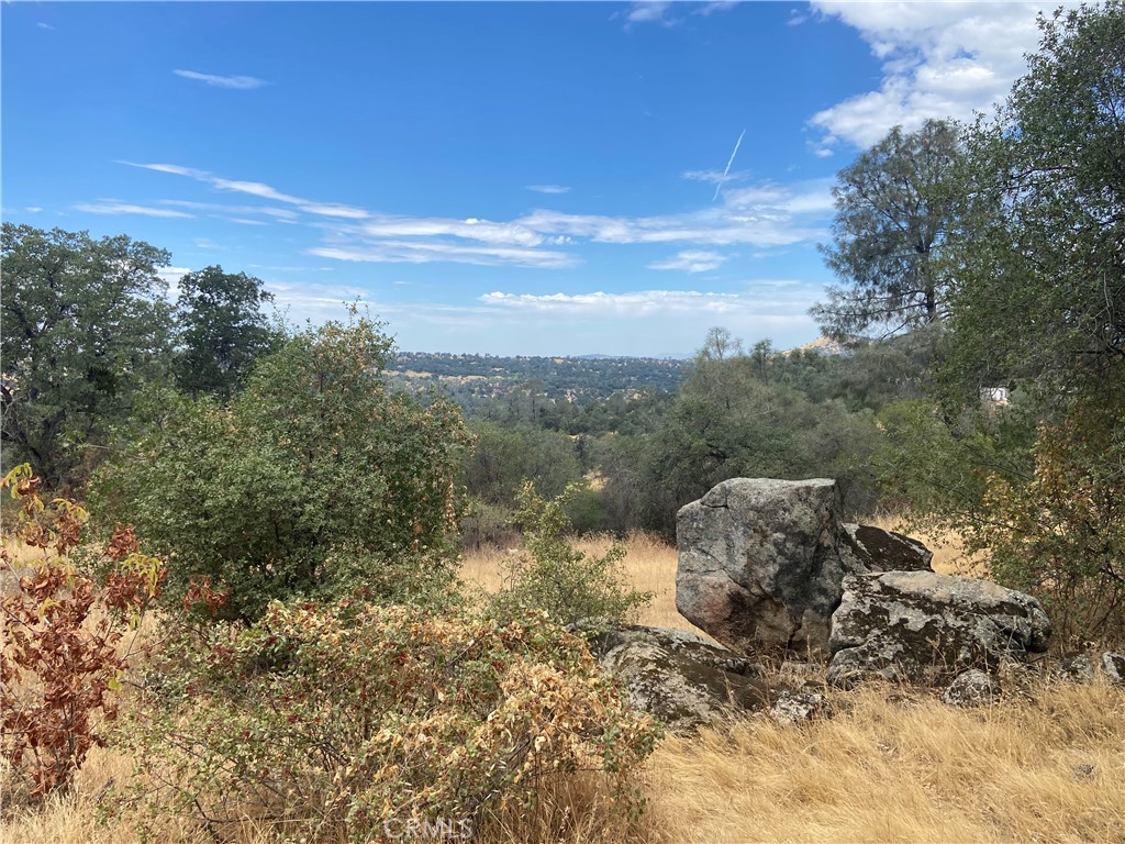 0 Hogans Mountain Road Coarsegold, CA 93614 - Photo 9 of 11 a view of a dry yard with trees