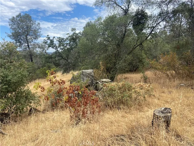 a view of a lake with a yard and wooden fence
