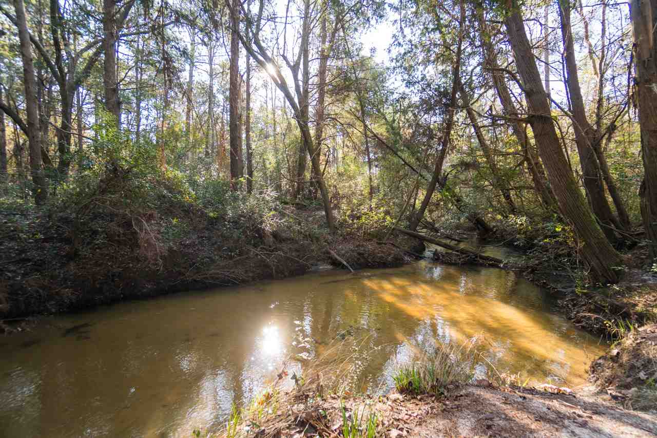 11388 Coleman Lane Elberta, AL 36530 - Photo 44 of 46