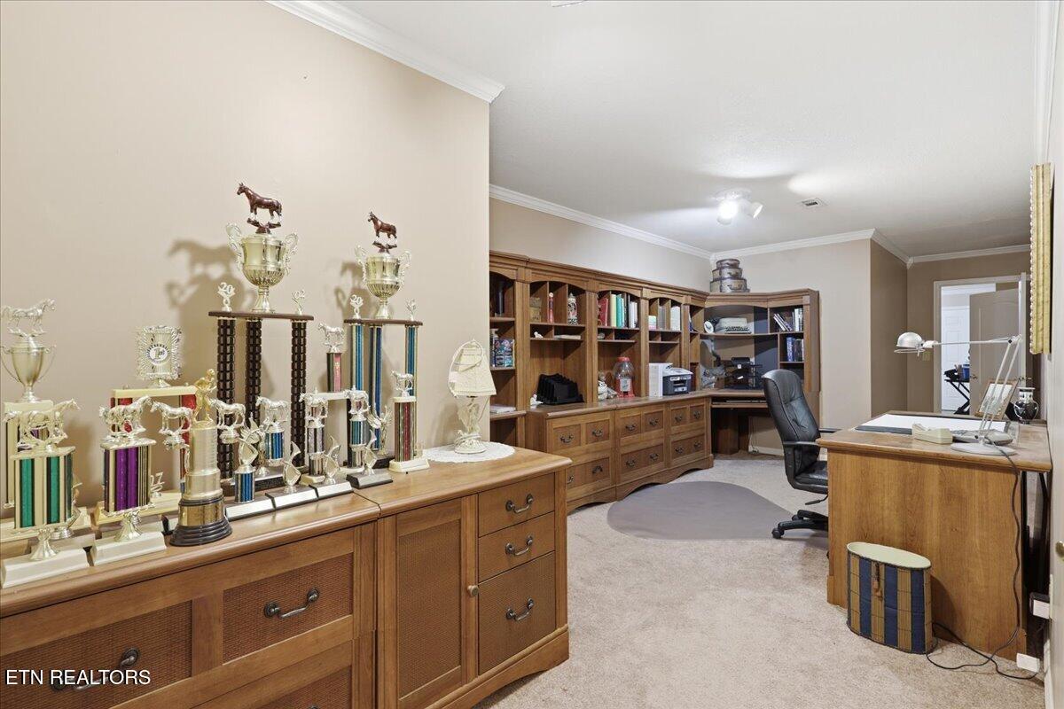 522 Waterstone Circle Greeneville, TN 37745 - Photo 39 of 60 51-031_7K9A6326