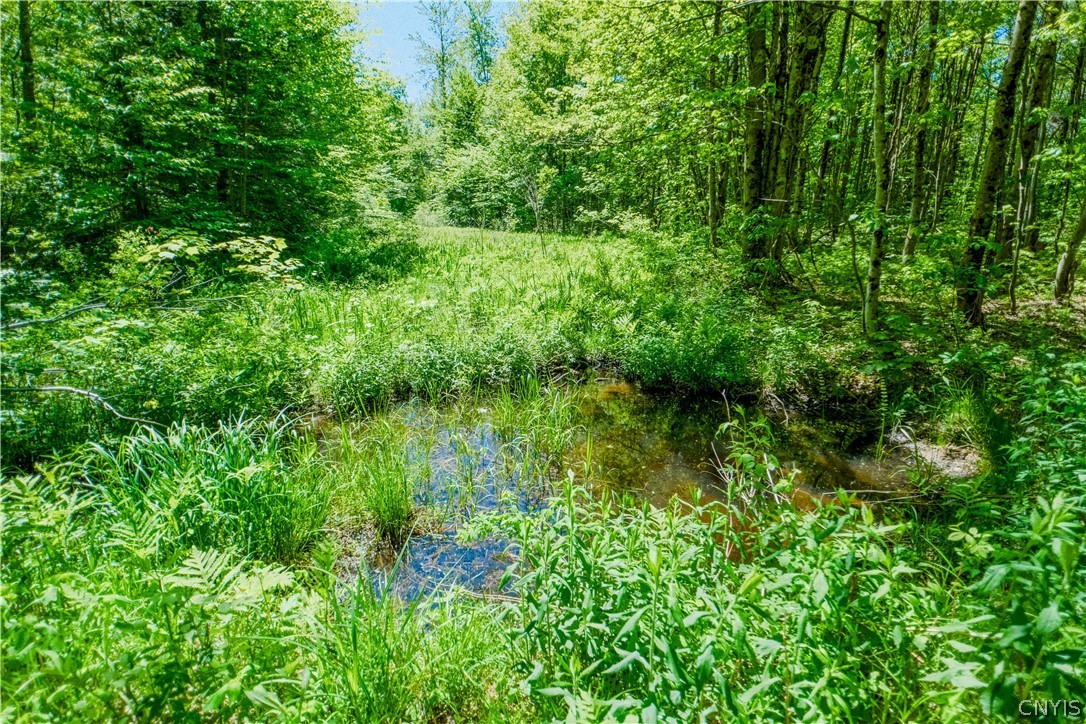 404 Old State Road Redfield, NY 13437 - Photo 33 of 42