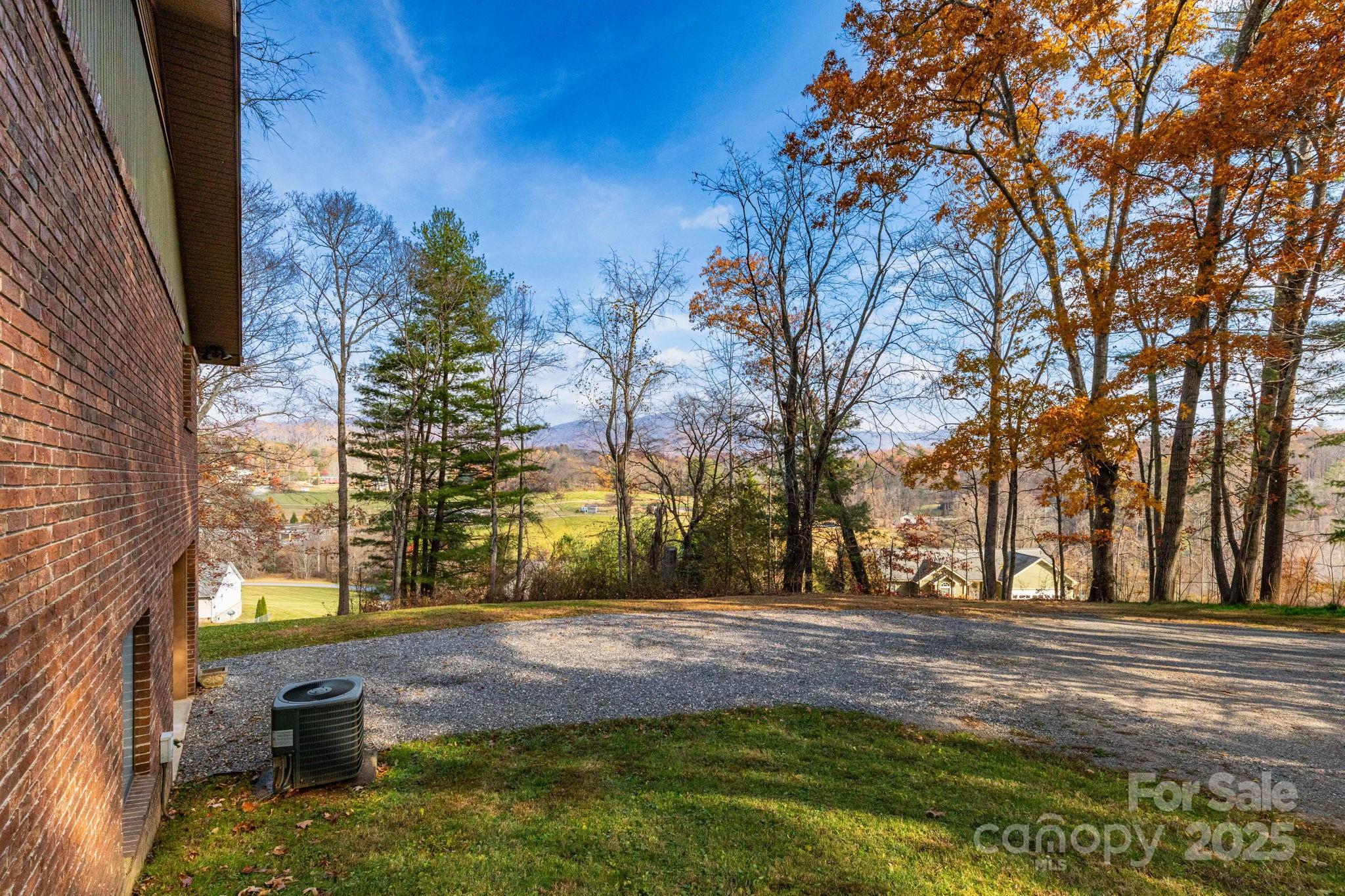 84 Joe Jenkins Road Fairview, NC 28730 - Photo 5 of 26 a view of yard with tree