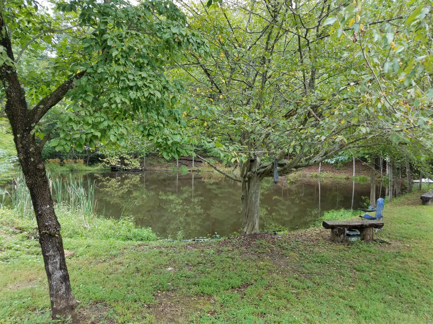 220 Cream Ridge Road Junction City, KY 40440 - Photo 11 of 14 Listing Photo