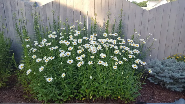 $247,000 | 31 Dickinson Avenue, Binghamton, NY 13901