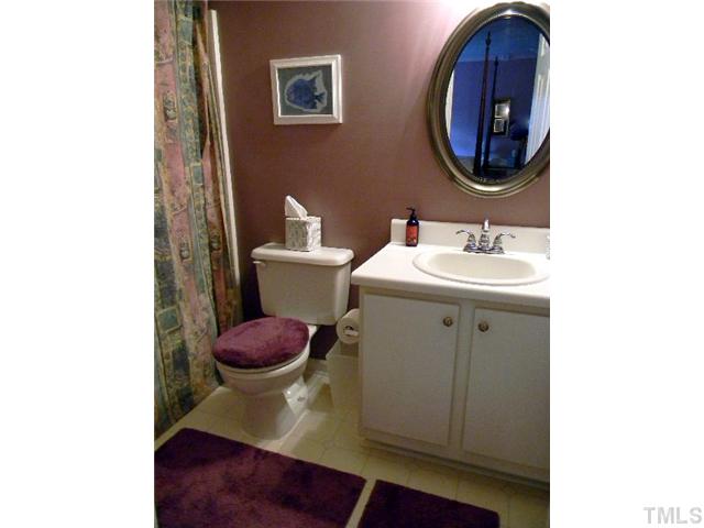 5028 Silverdene Street Raleigh, NC 27616 - Photo 17 of 25 Master bathroom featuring updated fixtures, lighting and mirror and a garden tub/shower combo!