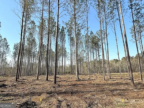 $1,490,000 | 1268 Highway 208, Hamilton, GA 31811