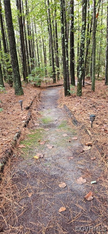 2405 Beulah Church Road St. Stephens Church, VA 23148 - Photo 7 of 18 a view of a yard with plants and trees