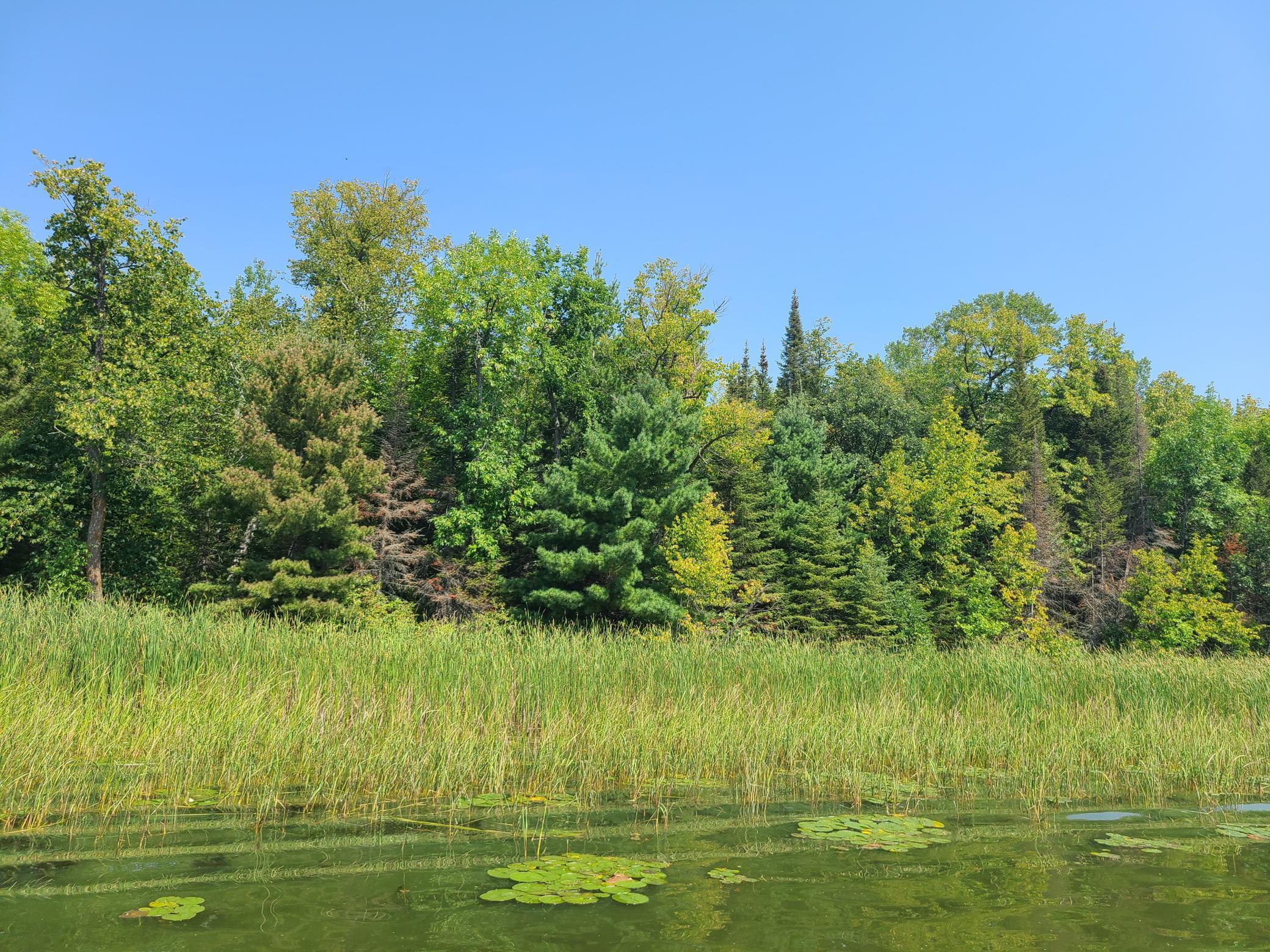 10281 Sullivan Bay Orr, MN 55771 - Photo 22 of 35