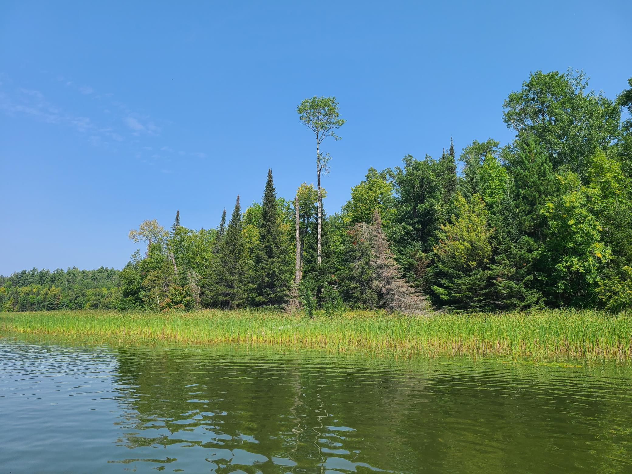 10281 Sullivan Bay Orr, MN 55771 - Photo 34 of 35