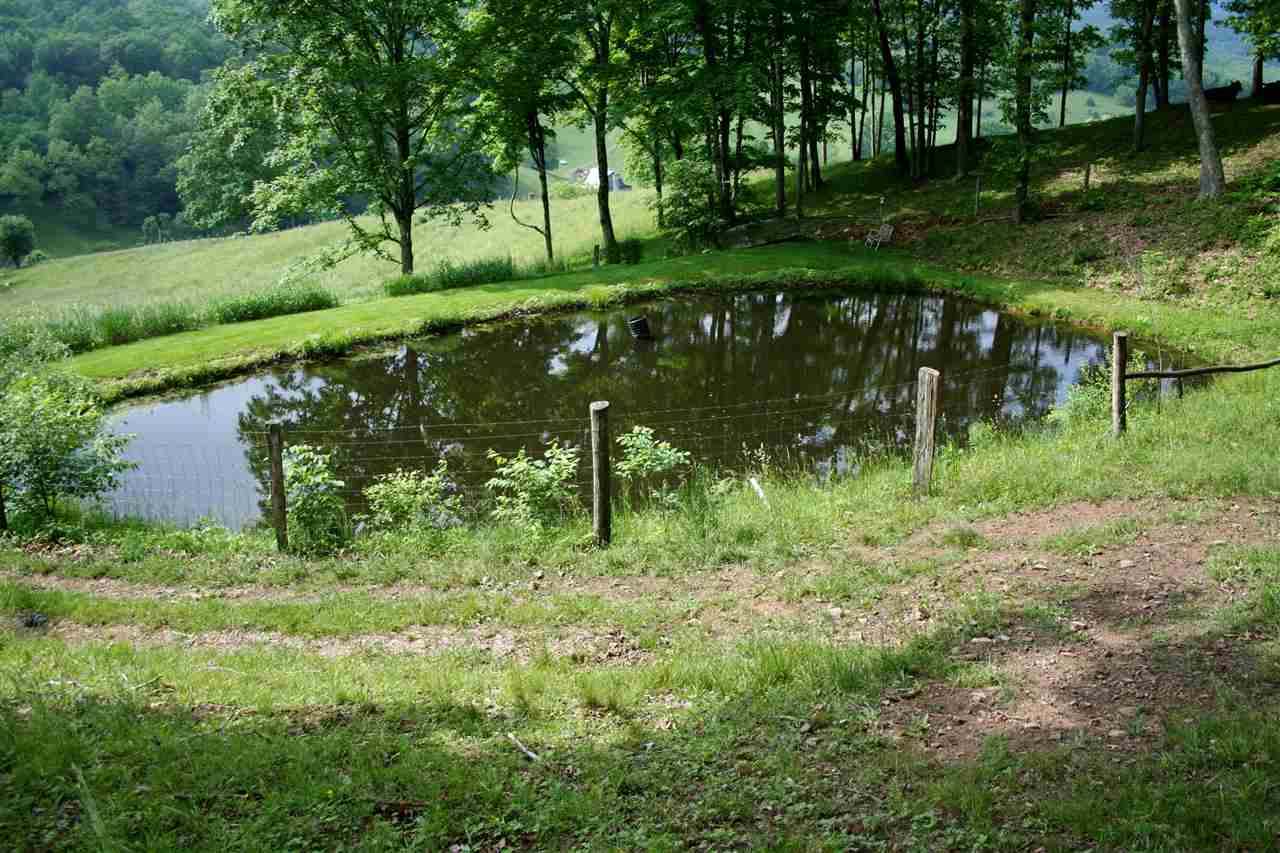 2676 Vly Ctr Road Monterey, VA 24465 - Photo 4 of 26 Gallery Image 4