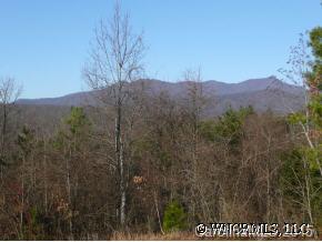 86 Hickory Tree Road Asheville, NC 28805 - Photo 4 of 4 Gallery Image 4