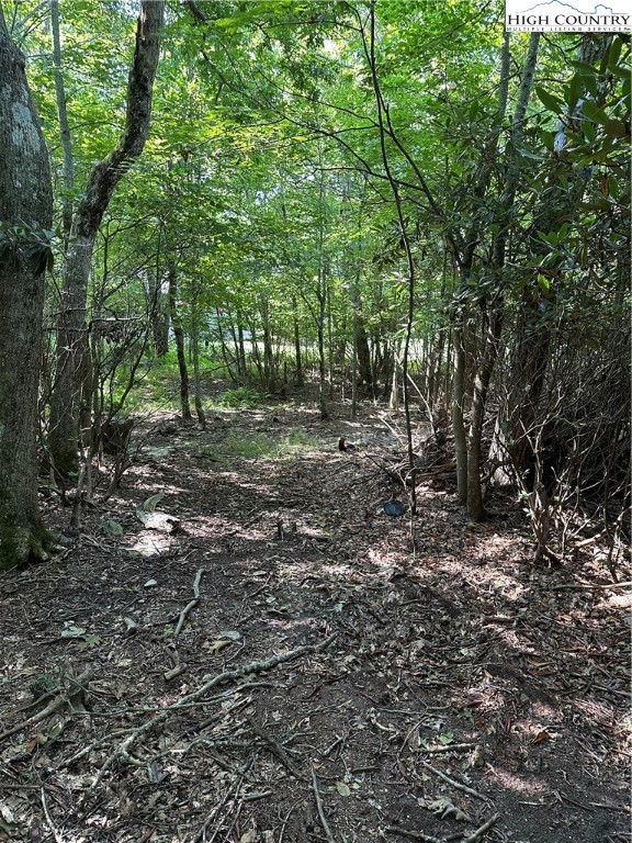 Lot 26 State View Road Boone, NC 28607 - Photo 13 of 15 Gallery Image 13