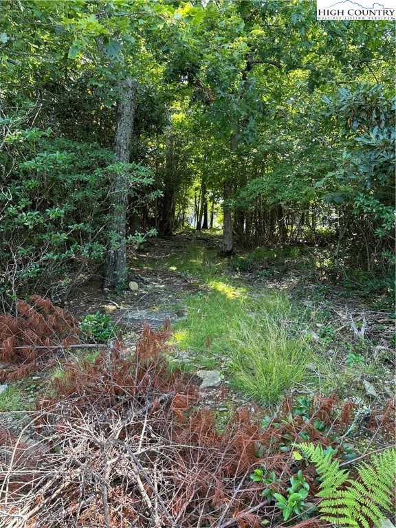 Lot 26 State View Road Boone, NC 28607 - Photo 4 of 15 Gallery Image 4