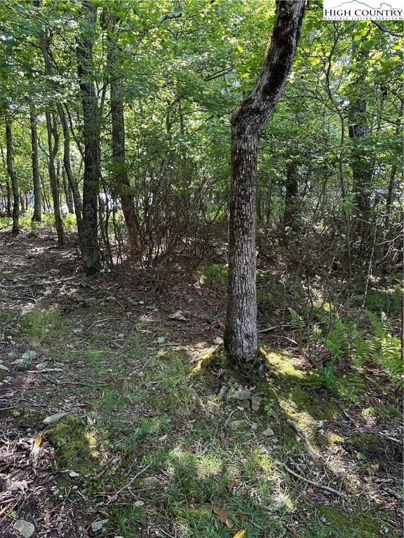 Lot 26 State View Road Boone, NC 28607 - Photo 6 of 15 Gallery Image 6