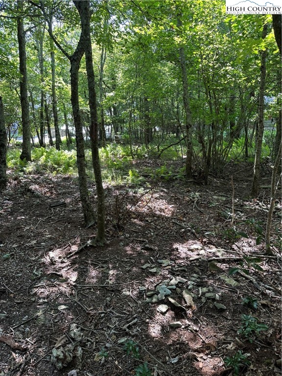 Lot 26 State View Road Boone, NC 28607 - Photo 7 of 15 Gallery Image 7