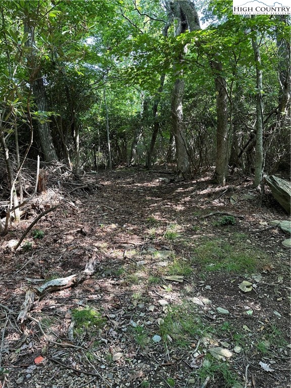 Lot 26 State View Road Boone, NC 28607 - Photo 8 of 15 Gallery Image 8