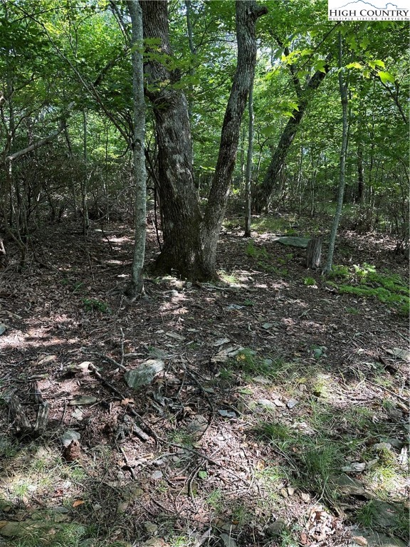 Lot 26 State View Road Boone, NC 28607 - Photo 9 of 15 Gallery Image 9