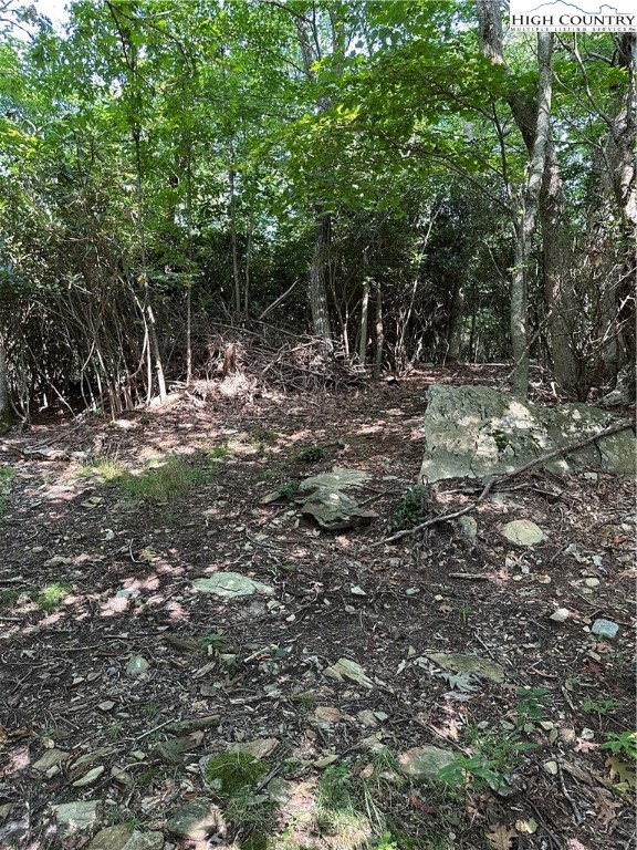 Lot 26 State View Road Boone, NC 28607 - Photo 10 of 15 Gallery Image 10
