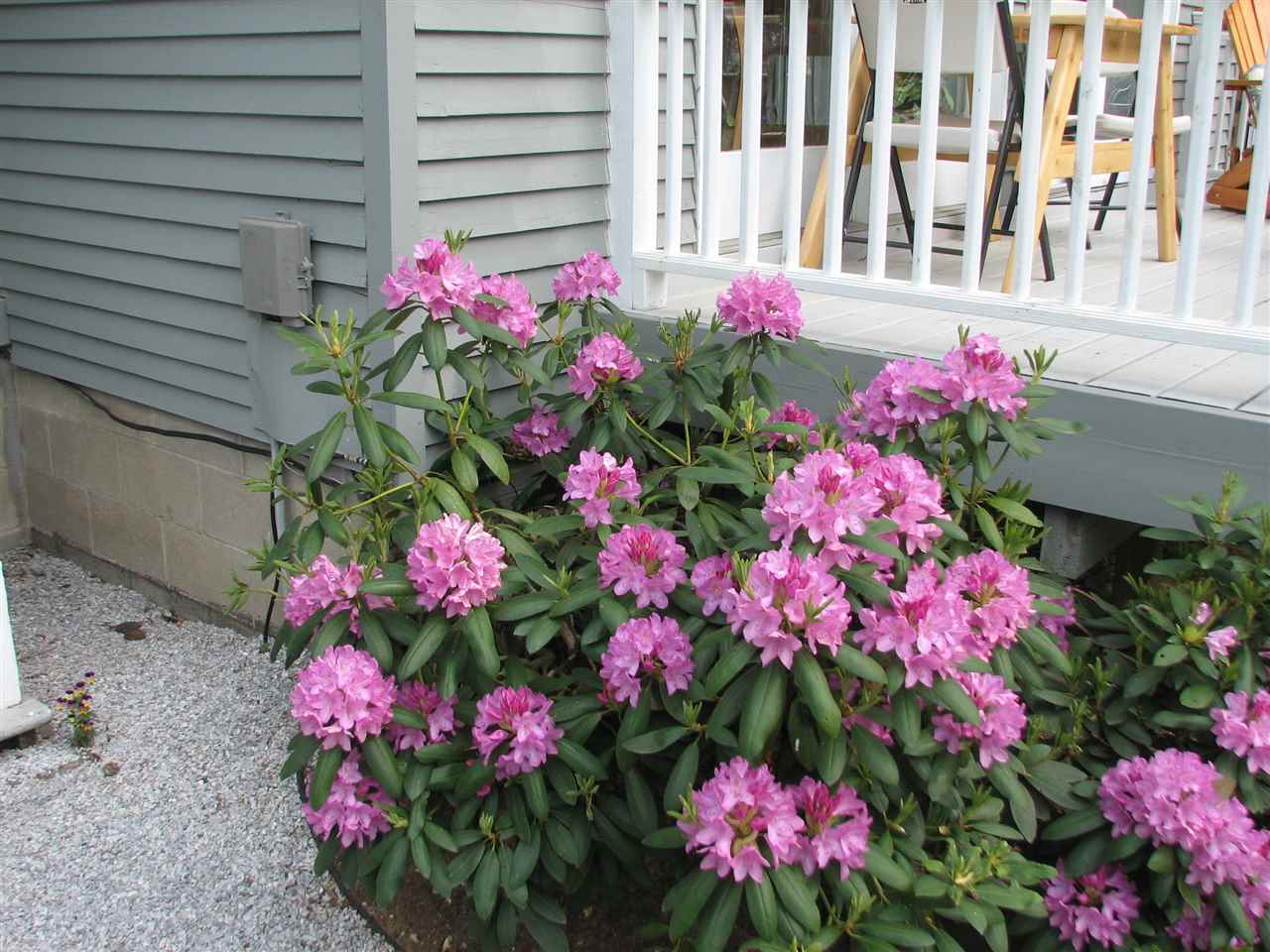 677 Cambridge Road Westford, VT 05494 - Photo 10 of 39 Gallery Image 10