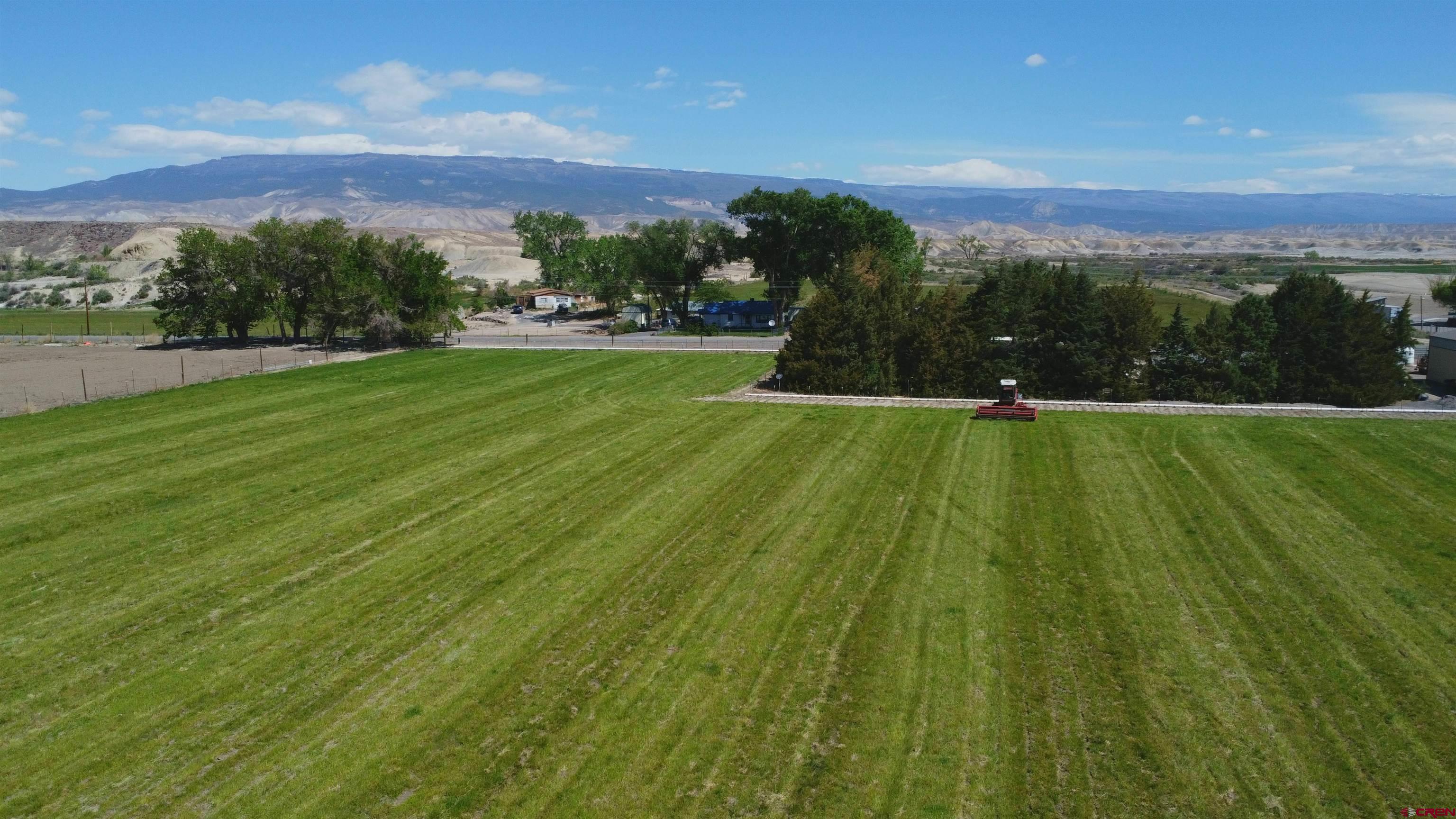 1667 I Road Delta, CO 81416 - Photo 25 of 35 Gallery Image 25