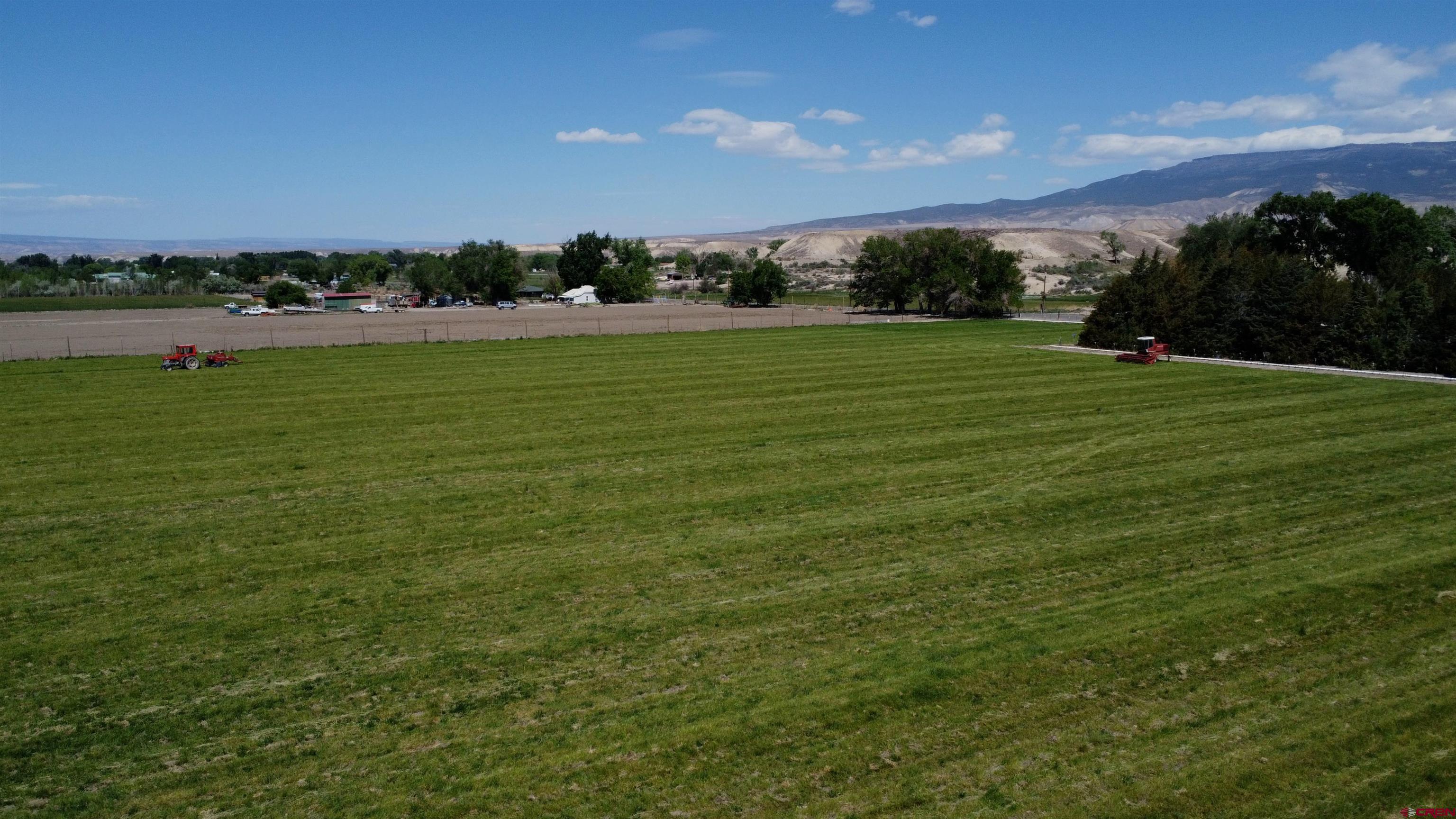 1667 I Road Delta, CO 81416 - Photo 6 of 35 Gallery Image 6