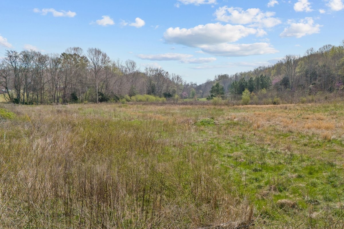 0 Hollis Crossing Road Cumberland Furnace, TN 37051 - Photo 3 of 4 a view of an outdoor space and a yard