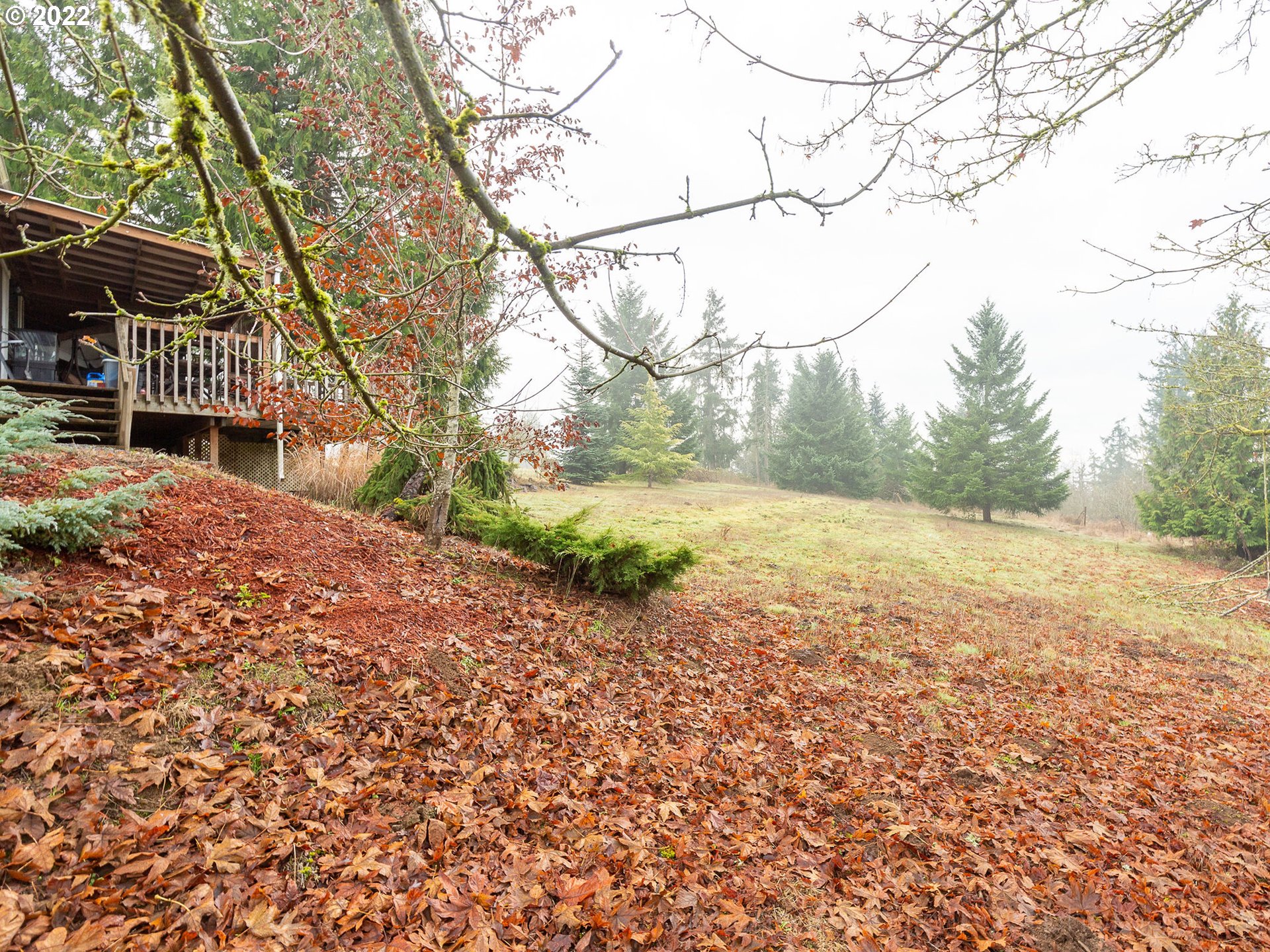 70464 Nick Thomas Road Rainier, OR 97048 - Photo 26 of 28