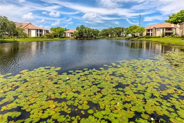 $2,250 | 10263 Gandy Boulevard North, Unit 108, St. Petersburg, FL 33702