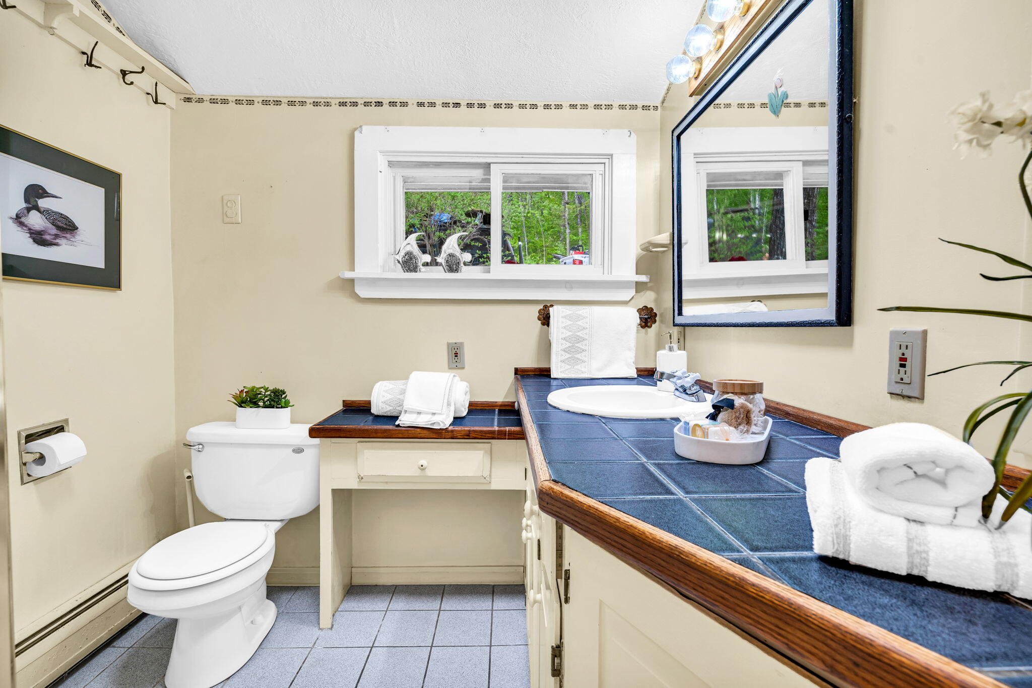 74 Birchwood Road Gray, ME 04039 - Photo 30 of 74 11-web-or-mls-DSC00836