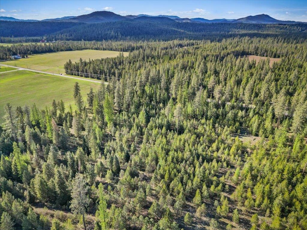 Xxxx Springdale Hunters Road Springdale, WA 99173 - Photo 3 of 11 Gallery Image 3