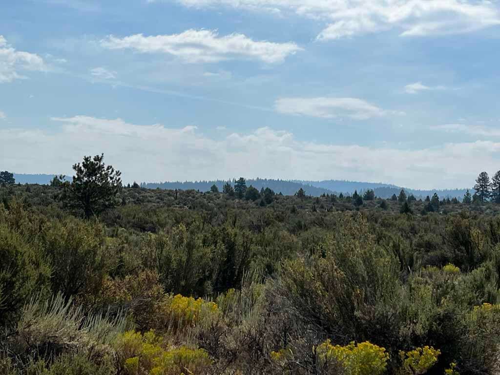 Yellow Jacket Springs Road, Unit 1200 Beatty, OR 97621 - Photo 8 of 32 IMG_6615