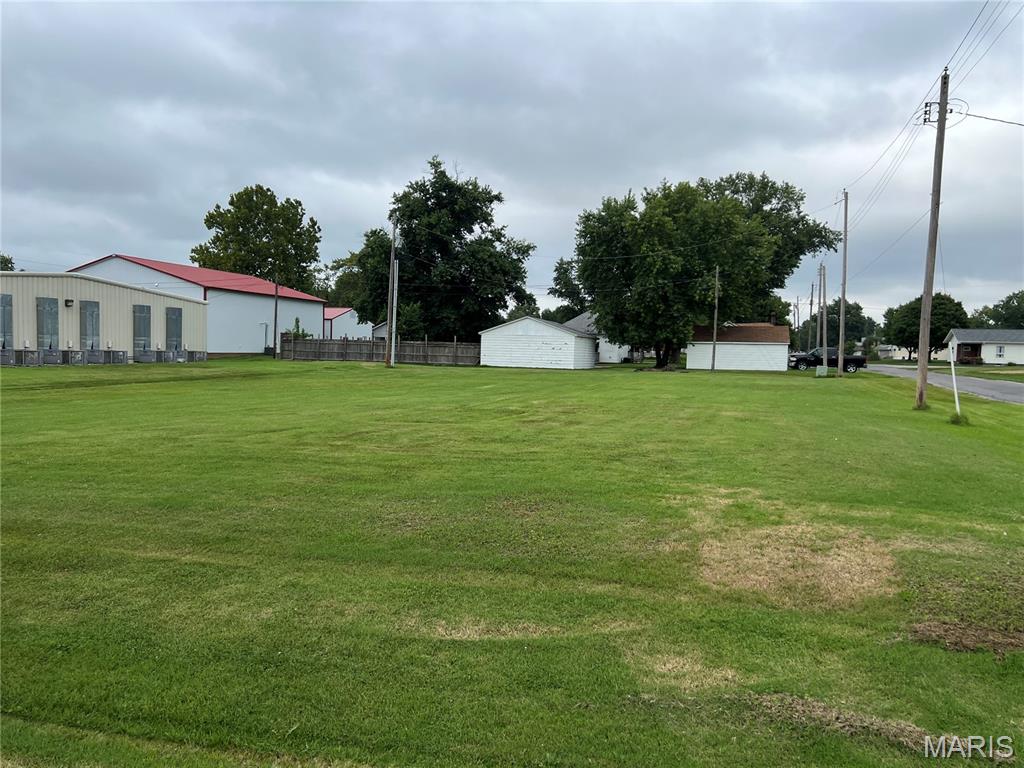 201 Southern Street Gillespie, IL 62033 - Photo 2 of 2