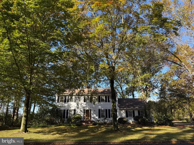 a view of a town with large trees