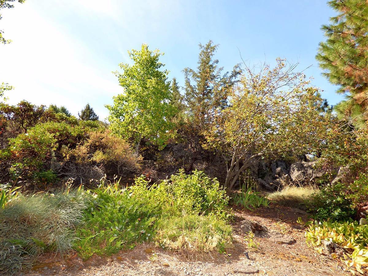 61532 West Ridge Ave Bend Bend, OR 97702 - Photo 23 of 24 Additional Photo